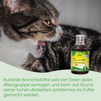 Thumbnail 3: cdVet HustaVet BronchialVital 100 ml