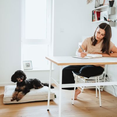 Thumbnail 8: HUNTER Recycling Hundekissen Belluno XL (120 x 80 cm), creme