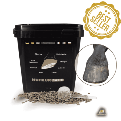Thumbnail 8: Hoofgold Hufkur Pferd Basic Biotin und Zink, für Haut Fell Huf & Immunsystem, Zusatzfutter für Pferde