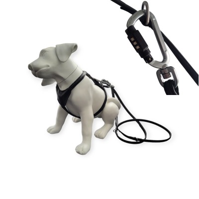 Thumbnail 1: LOCKness Hunde-Diebstahlsicherung schwarz M