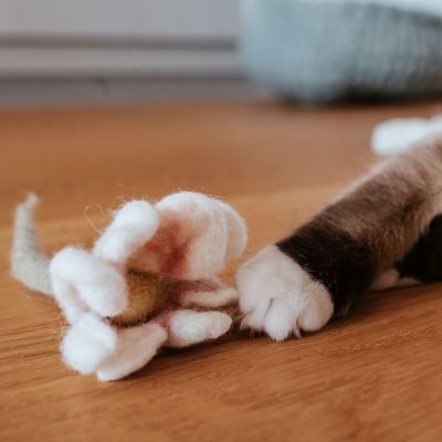 Thumbnail 4: stylecats® Katzenspielzeug Gundula Gänseblümchen 12 cm