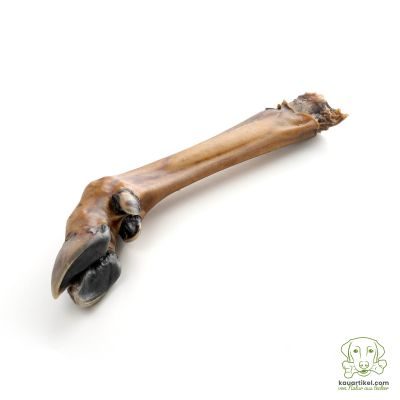 kauartikel.com Hirsch Unterbein ohne Fell - Hunde-Kauartikel - Hunde-Snack - Hypoallergen-Kausnack - Wild-Leckerli