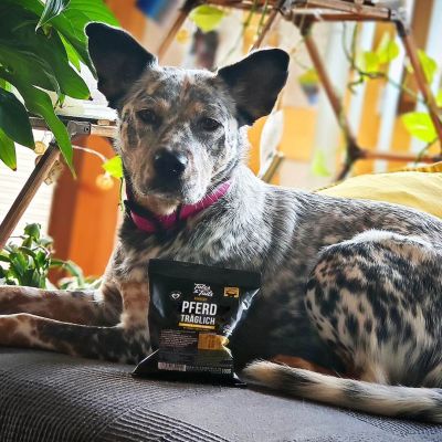 Thumbnail 13: Tales & Tails Perfekt PferdTräglich Softtrockenfutter - Probe 5er Paket