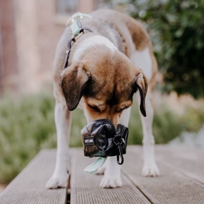 Thumbnail 1: Hey Lana Kotbeutelspender - Schwarz - Heißer Scheiß