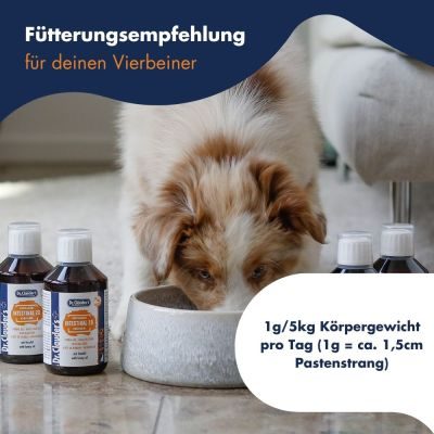 Thumbnail 8: Dr.Clauder’s Intestinal 20 Kräuteröl 250ml