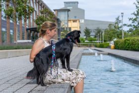 Lucky Hearts™ Halsband- und Leinenset Rainbow Paws  S / Blau