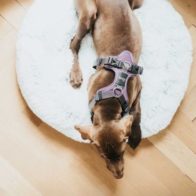 Thumbnail 8: HUNTER Hunde- und Katzenschlafplatz Loppa M (Ø 60 cm), weiß