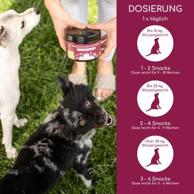 Thumbnail 2: Wolfsbacher Natur Magen & Darm Snacks für Hunde