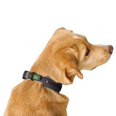 Thumbnail 7: HUNTER Halsband Havanna M (50), schwarz