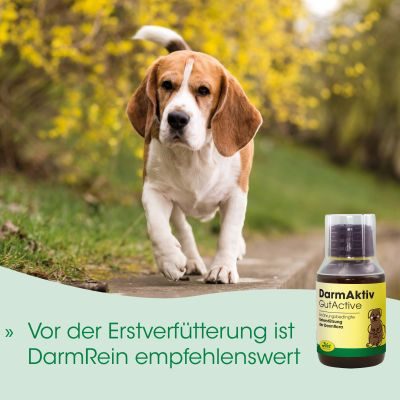 Thumbnail 1: cdVet DarmAktiv Hund & Katze 1 L – Natürliche Unterstützung für eine ausgeglichene Darmflora