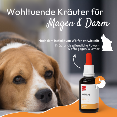 Thumbnail 6: PHA PetVet - PHA WURM für Hunde u. Katzen 50 ml - Wohltuende Kräutertropfen für Magen & Darm