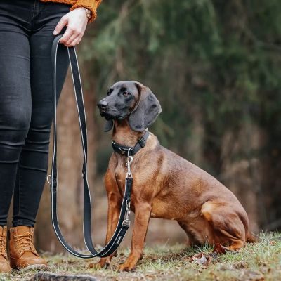 Thumbnail 5: Rudelkönig RudelkönigHundeleine Reflektierende Hundeleine Paola, Verstellbare 2,30m Führleine