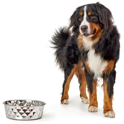 Thumbnail 4: HUNTER Edelstahlnapf Namy XXXL (3800 ml)