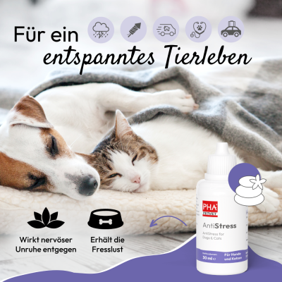 Thumbnail 7: PHA PetVet - PHA AntiStress für Hunde u. Katzen 30 ml - Flüssiges Ergänzungsfuttermittel zur natürlichen Unterstützung bei Stressreaktionen.
