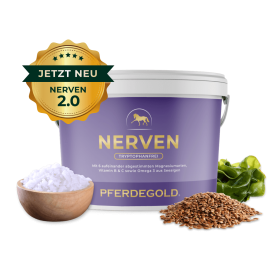 Pferdegold Nerven Eimer 1.5kg