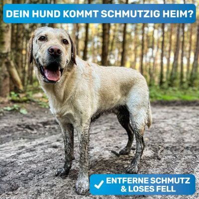 Thumbnail 2: BluePet Gummistriegel & Badebürste für Kurzhaar Hunde & Katzen mit Massageeffekt: Entfernt loses Deckhaar & Schmutz - Badestriegel Hundeshampoo einmassieren
