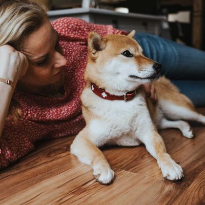 Thumbnail 4: HUNTER Halsband Swiss XL (75), rot/schwarz