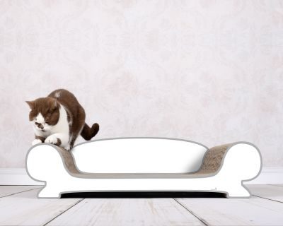 Thumbnail 2: cat-on VERTIGE Design Katzensofa, weiß, grauer Rand (000d)