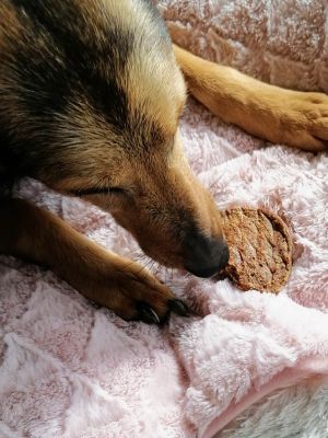 Thumbnail 1: kauartikel.com Hühner-Burger - Hunde-Kauartikel - Hunde-Snack - Kausnack aus Huhn - Geflügel-Leckerli