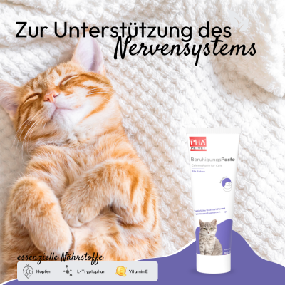 Thumbnail 5: PHA PetVet - PHA BeruhigungsPaste für Katzen - 100 ml - Nahrungsergänzung - Futterergänzung