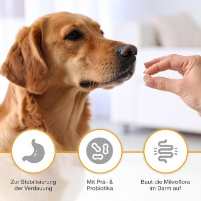 Thumbnail 4: alfavet Dia Tab PRO Prä- & Probiotika zur Stabilisierung der Verdauung – Leckere Kautabletten mit Bentonit zur Unterstützung der Darmflora für Hunde und Katzen 100 g