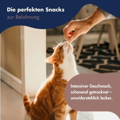 Thumbnail 5: Dr.Clauder’s Dr.Clauders Trainee Snack Ziege 80g