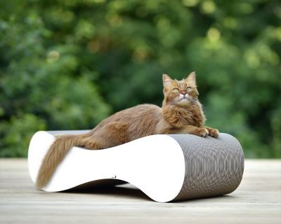 Thumbnail 2: cat-on LE VER L Design Kratzmöbel, weiß gestrichen (000x)