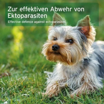Thumbnail 6: AniForte Ectoprotex Spot-on für Hunde