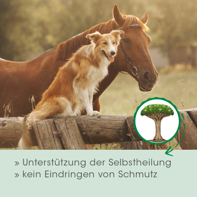 Thumbnail 7: cdVet Drachenblut 20 ml – Natürliches Harz (Sangre de Drago) zur Hautpflege bei Tieren