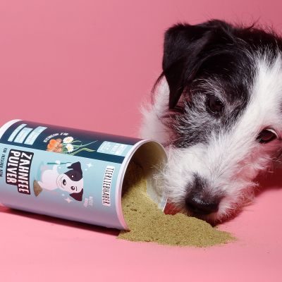 Thumbnail 5: Tierliebhaber Zahnfee Pulver für Hunde - Natürliche Zahnpflege & frischer Atem