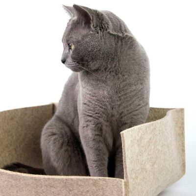 Thumbnail 2: stylecats® Katzenbett Groovie geschlossen XS (35 x 35 cm), anthrazit