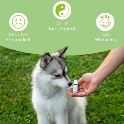 Thumbnail 2: Wolfsbacher Natur Bachblüten Globuli - Einsamkeit