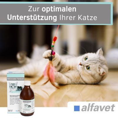 Thumbnail 2: alfavet ReConvales Tonicum Katze appetitanregendes Ergänzungsfuttermittel zur Rekonvaleszenz und bei Untergewicht 280 ml