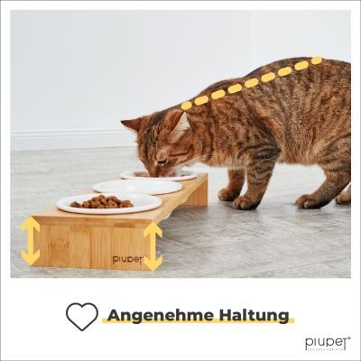 Thumbnail 3: PIUPET Katzennapf I Keramikfressnäpfe Katzen mit Napferhöhung aus Bambus I 250ml I 3 Ersatznäpfe