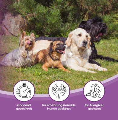 Thumbnail 6: mascota vital Ziegenohren, getrockneter Kauartikel für Hunde, 200 g