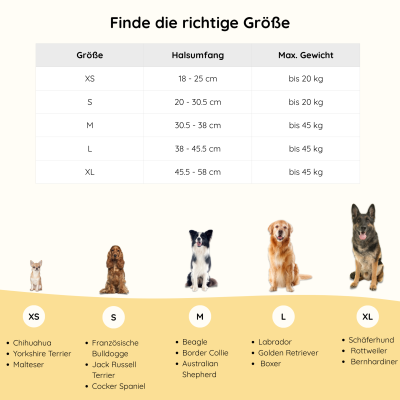 Thumbnail 5: Neo Animal Hundehalsband Pura - Weich & Bequem - Schwarz / S