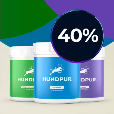 Hundpur Hundpur® Bestseller Bundle