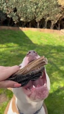 Thumbnail 4: kauartikel.com Rinder MIX TÜTE - Hunde-Kauartikel - Hunde-Snack - Kausnack - Leckerli