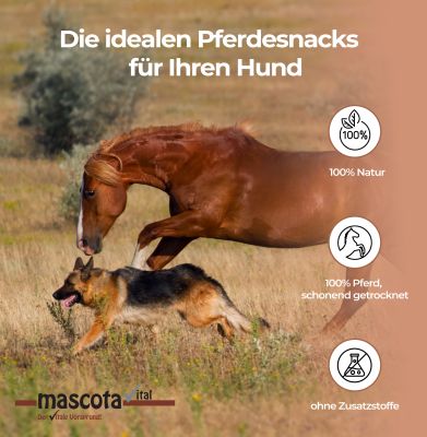 Thumbnail 4: mascota vital Pferdehaut, Kauartikel für Hunde, 200 g