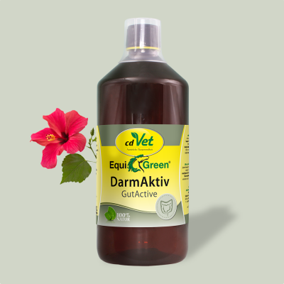 Thumbnail 3: cdVet EquiGreen DarmAktiv 1 L - Natürlich fermentiertes Ergänzungsfuttermittel für die Pferdes Darmflora