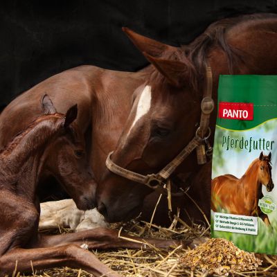 Thumbnail 2: PANTO Zucht- und Fohlenmüsli 20kg