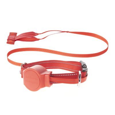 Thumbnail 2: doddle for dogs Halsband mit integrierter Leine für große Hunde rot