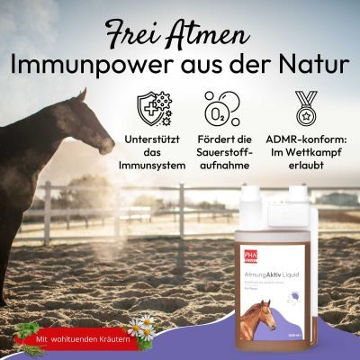 Thumbnail 2: PHA PHA AtmungAktiv Liquid für Pferde
