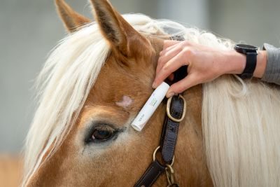 Thumbnail 3: Doderm SOS Gel