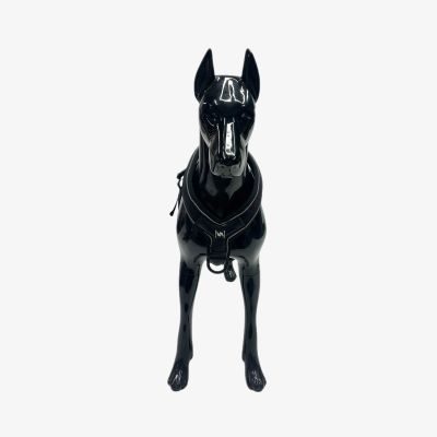 Thumbnail 2: Vitomalia Leichtes Y-Hundegeschirr mit Reflextionsstreifen in Schwarz