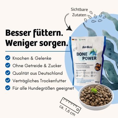 Thumbnail 4: BugBell Trockenfutter mit Insekten bei Arthrose
