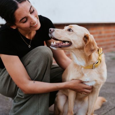 Thumbnail 13: HUNTER Halsband Amalfi M (55), gelb