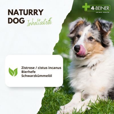 4-Beiner 4-BEINER NATURRY-DOG - Nahrungsergänzung - Futterergänzung für Hunde