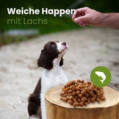 Thumbnail 3: kauartikel.com Weiche Happen mit Lachs - Hunde-Snack - Trainings-Snack - Fisch-Leckerli