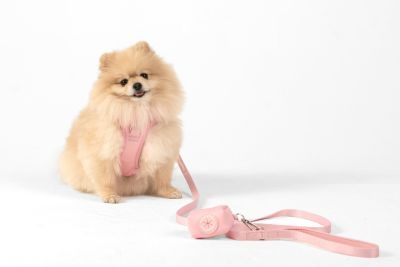 Thumbnail 3: SimplePets Alltagsheld-Geschirr in Blush Pink